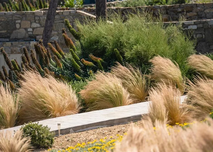 New - Apiro - Mg Mykonos 别墅 卡拉法蒂斯